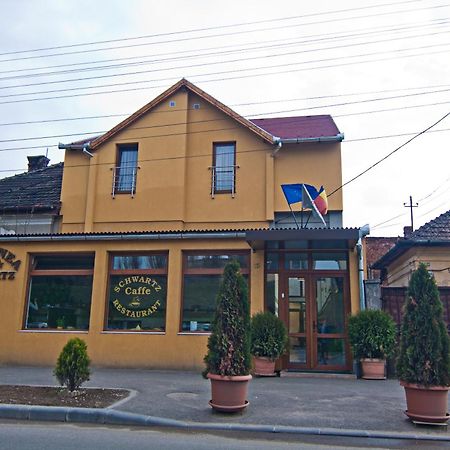 Pensiunea Schwartz Cluj-Napoca Buitenkant foto