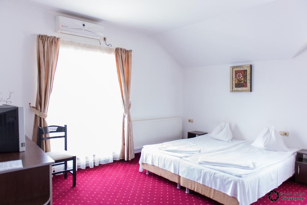 Pensiunea Schwartz Cluj-Napoca Buitenkant foto