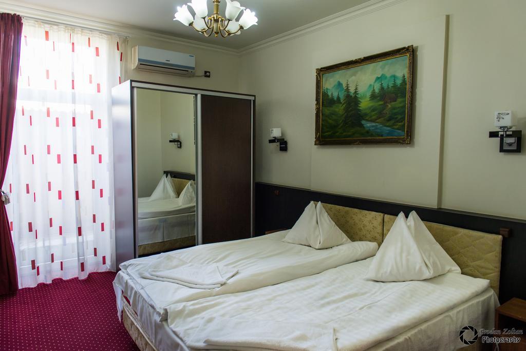 Pensiunea Schwartz Cluj-Napoca Buitenkant foto