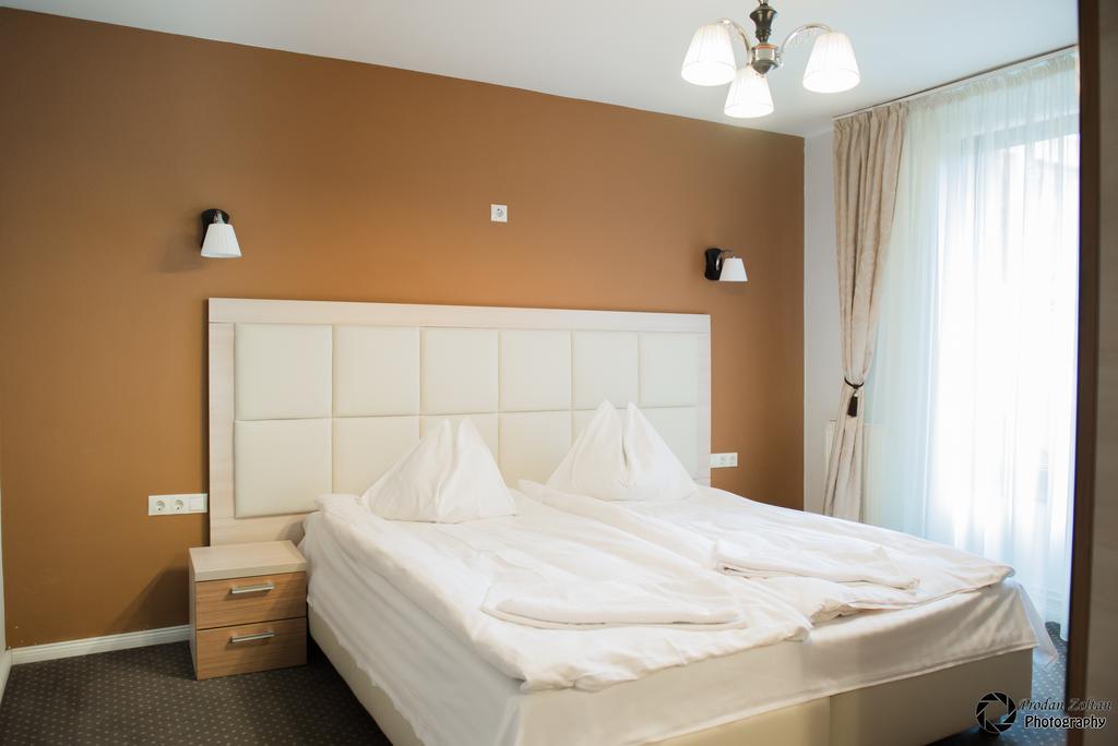 Pensiunea Schwartz Cluj-Napoca Buitenkant foto
