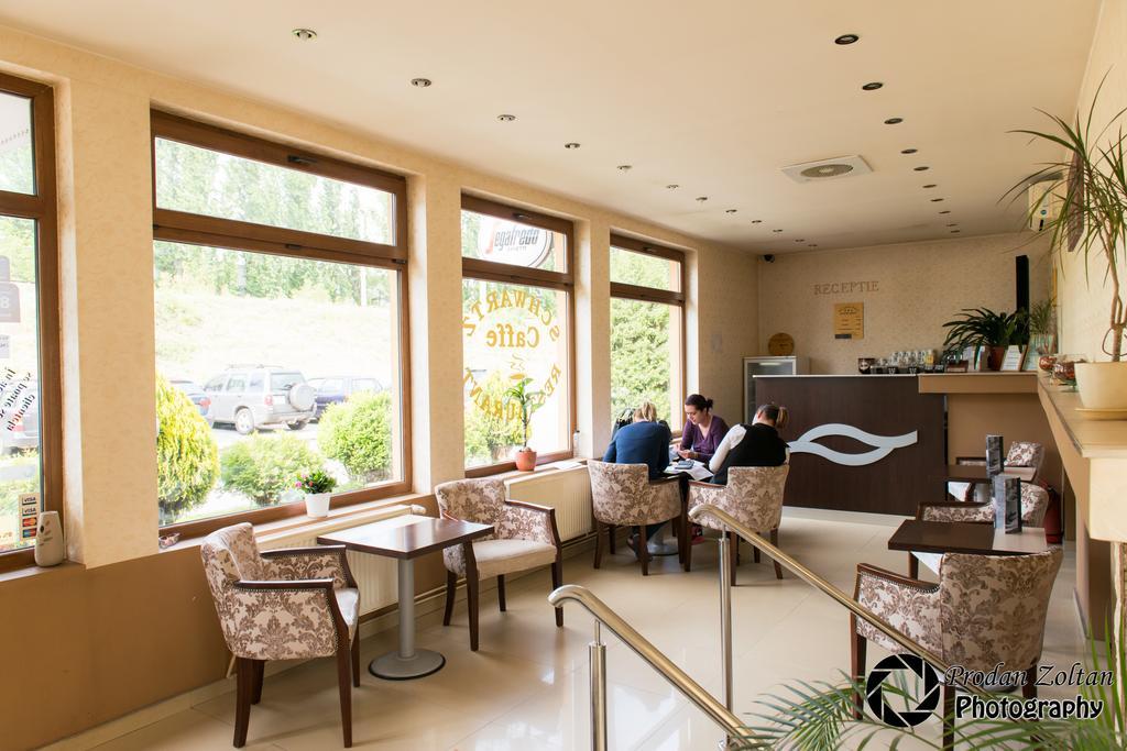 Pensiunea Schwartz Cluj-Napoca Buitenkant foto