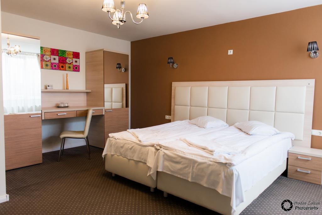 Pensiunea Schwartz Cluj-Napoca Kamer foto