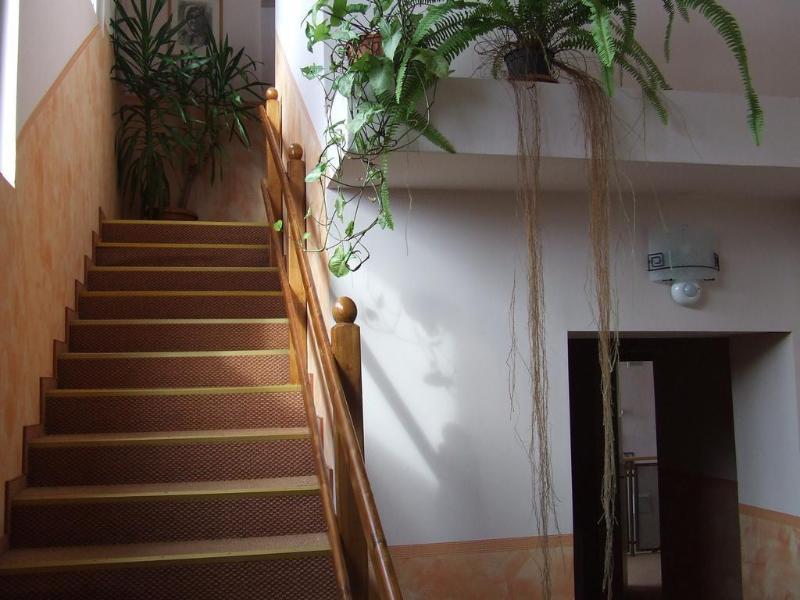 Pensiunea Schwartz Cluj-Napoca Buitenkant foto