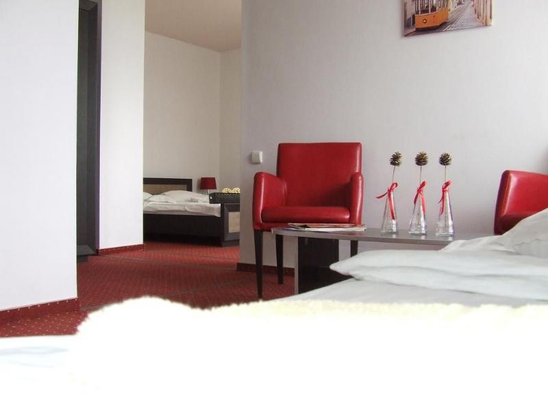 Pensiunea Schwartz Cluj-Napoca Buitenkant foto